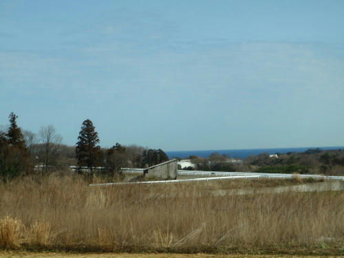P2240165p5.jpg