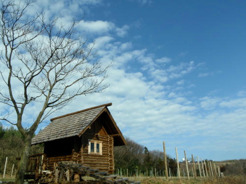 P2240164p6.jpg