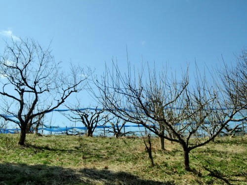 P2240171p11.jpg