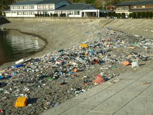 P2220115p1.jpg