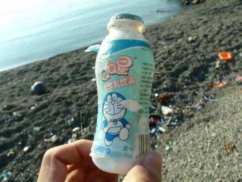 P2220098p1.jpg