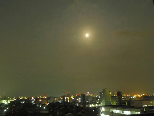 P3190328op1.jpg