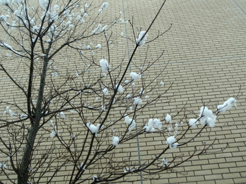 P3100243p7.jpg