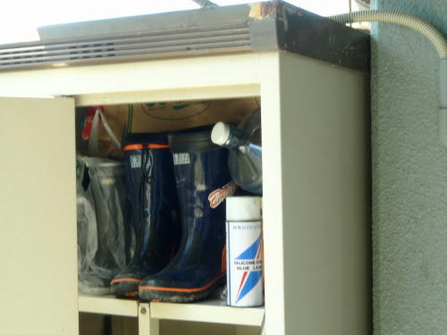 P4050562op1.jpg