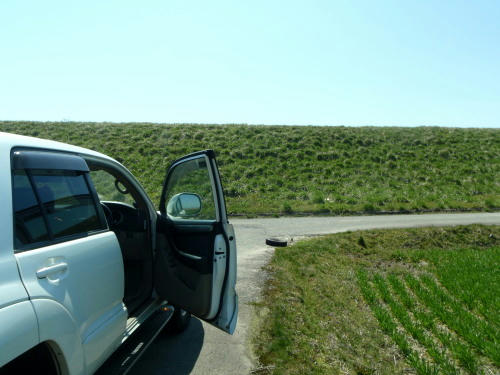 P4050563op2.jpg