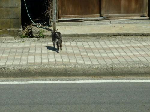 P4050564op3.jpg