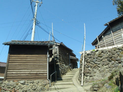 P4050572op11.jpg