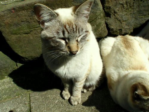 P4050597op16.jpg