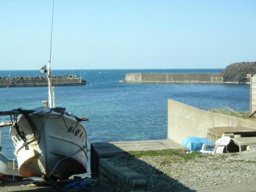 P4050624op5.jpg