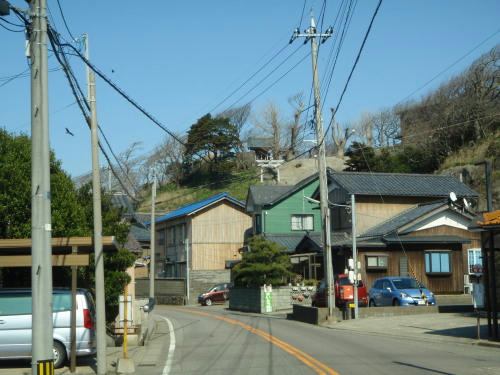 P4050629op6.jpg