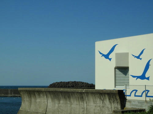 P4050630op7.jpg