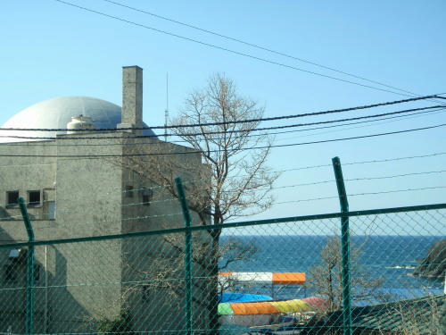 P4050635op10.jpg