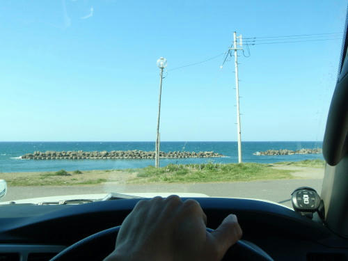 P4050636op11.jpg
