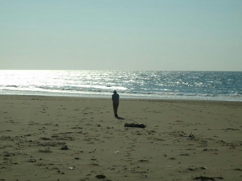 P4050639op3.jpg