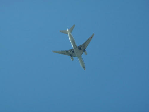 P4050642op6.jpg