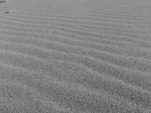 P4050645op5.5.jpg