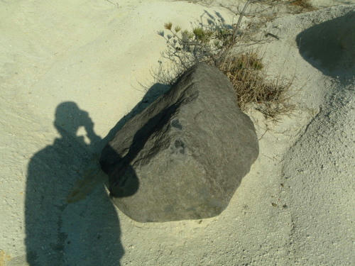 P4050654op15.jpg