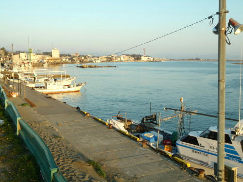 P4050684op6.jpg