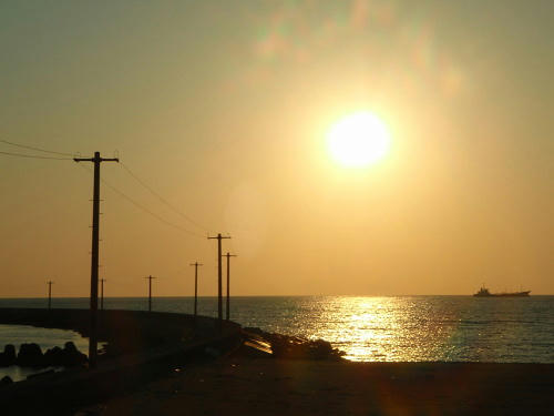 P4050686op7.jpg