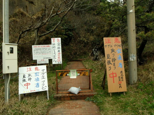P4090003op2.jpg