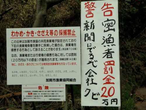 P4090006op5.jpg