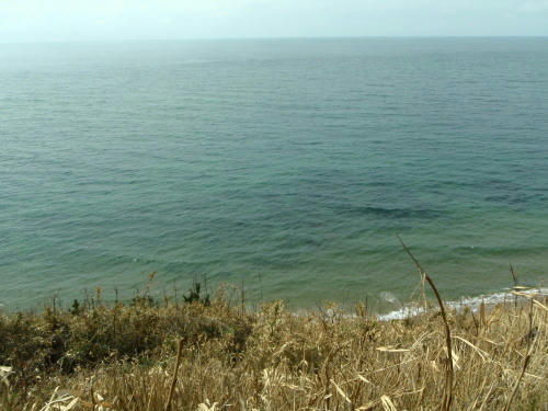 P4090011op8.jpg