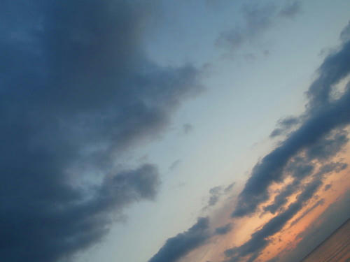 P4110027op2.jpg
