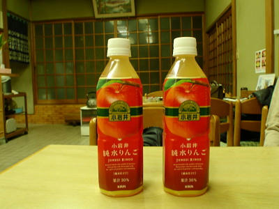 P4110031op5.jpg