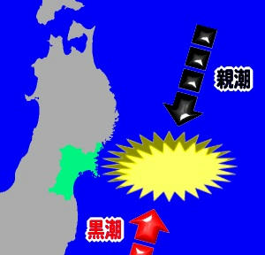51c01146.jpeg