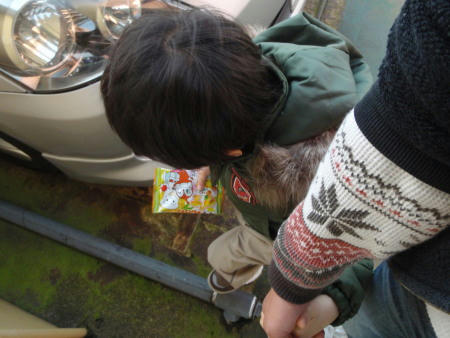 P2110004p2.jpg