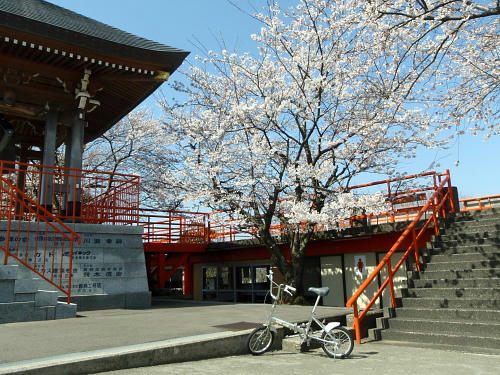 P4130006op7.jpg