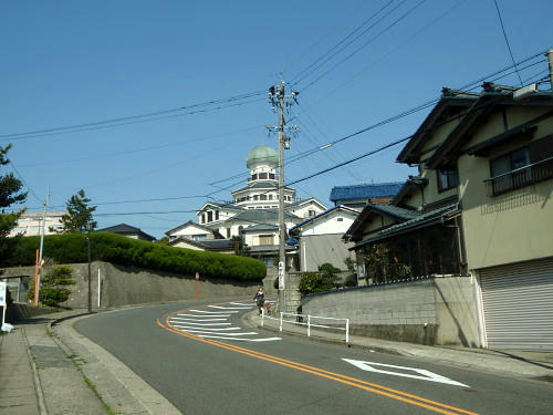 P4130017op10.jpg