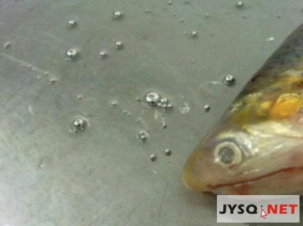 d3f5020c.jpeg