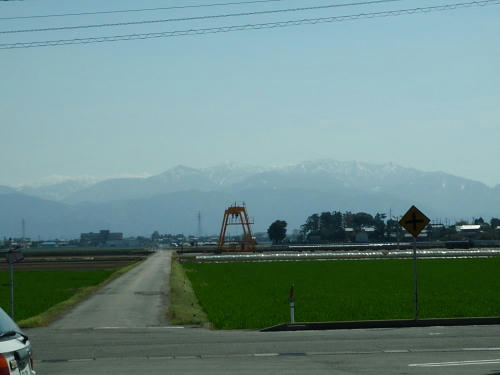 P4170220gg2.jpg