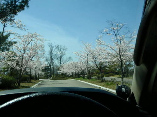 P4170221gg3.jpg