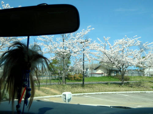 P4170222gg4.jpg