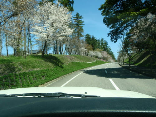 P4170226gg7.jpg