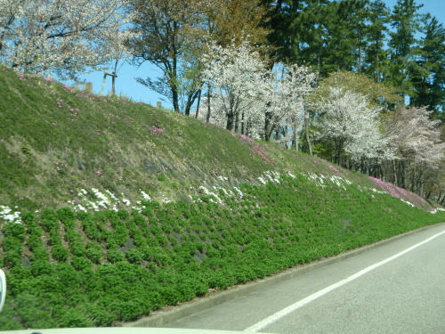 P4170227gg8.jpg