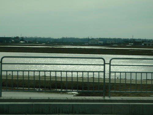 P4170253gg15.jpg