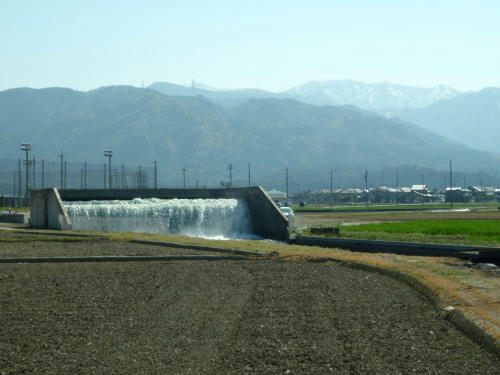 P4180260op3.jpg