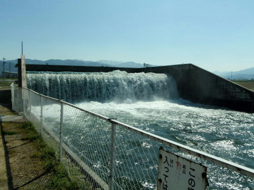 P4180262op5.jpg