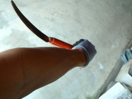 P4180287op11.jpg