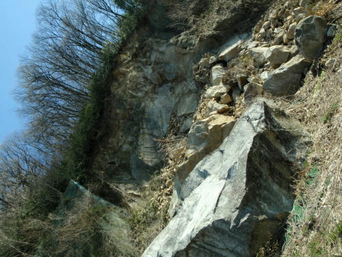 P4010502op3.jpg
