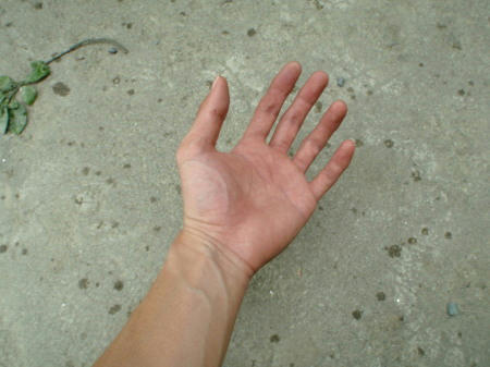 P4180296op1.jpg
