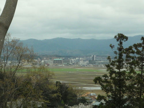 P4200337op5.jpg