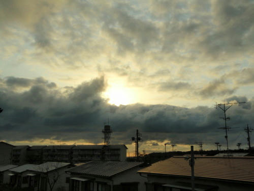 P4200355op10.jpg