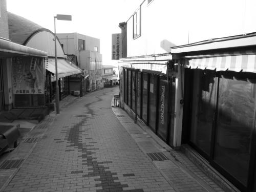 P4130123op5.jpg