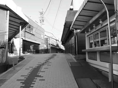 P4130124op6.jpg