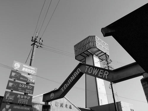 P4130125op7.jpg