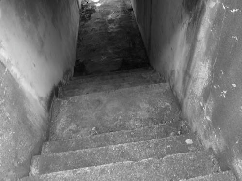 P4130149op19.jpg